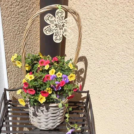 Ferienwohnung Lavendel Appartamento *